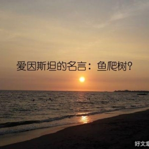 爱因斯坦的名言：鱼爬树？