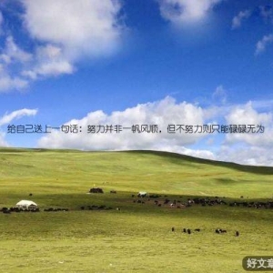 给自己送上一句话：努力并非一帆风顺，但不努力则只能碌碌无为