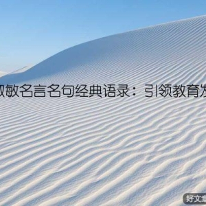 毕淑敏名言名句经典语录：引领教育发展