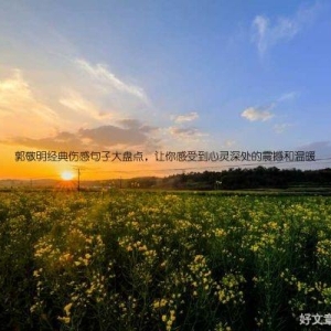 郭敬明经典伤感句子大盘点，让你感受到心灵深处的震撼和温暖