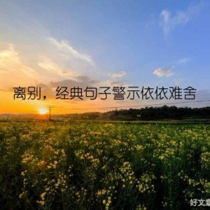 离别，经典句子警示依依难舍