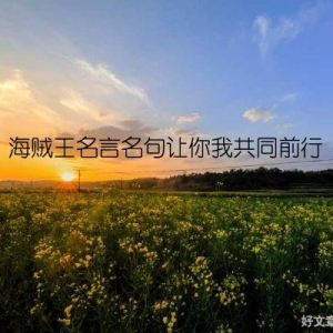 海贼王名言名句让你我共同前行