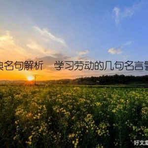 经典名句解析  学习劳动的几句名言警句