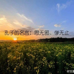 孔子的名言：思无邪、学无止