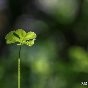 20句富有哲理的格言和箴言