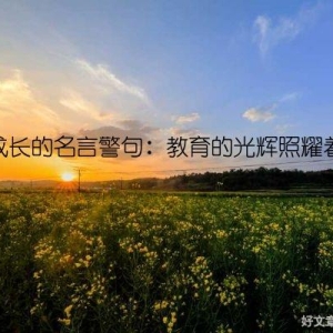 教师成长的名言警句：教育的光辉照耀着未来