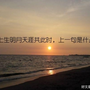 海上生明月天涯共此时，上一句是什么？