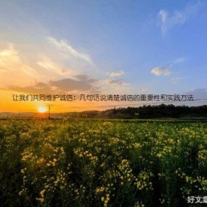 让我们共同维护诚信：几句话说清楚诚信的重要性和实践方法