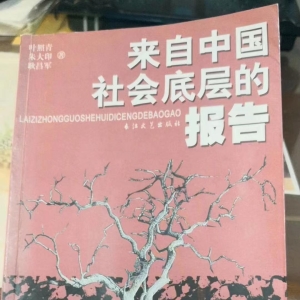 读书笔记——第48本——叶照青等合著《来自中国社会底层的报告》