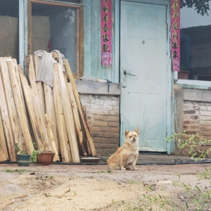 我的奶奶是个命硬的女人（三）