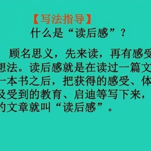 三年级作文《读后感》怎么写？一道公式教会你（附满分范文）