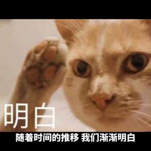 在友情中，学会释怀至关重要