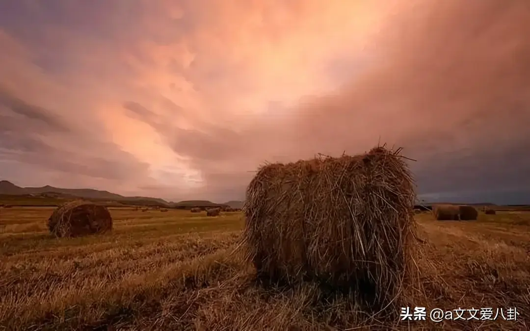 30句穿透人心的人生格言 1. 别把自己想的太伟...