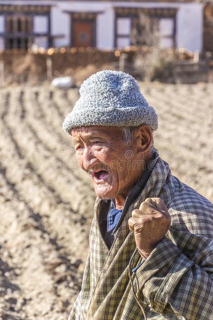 善良所力量:江苏南京一位大爷与母子间的感人故事