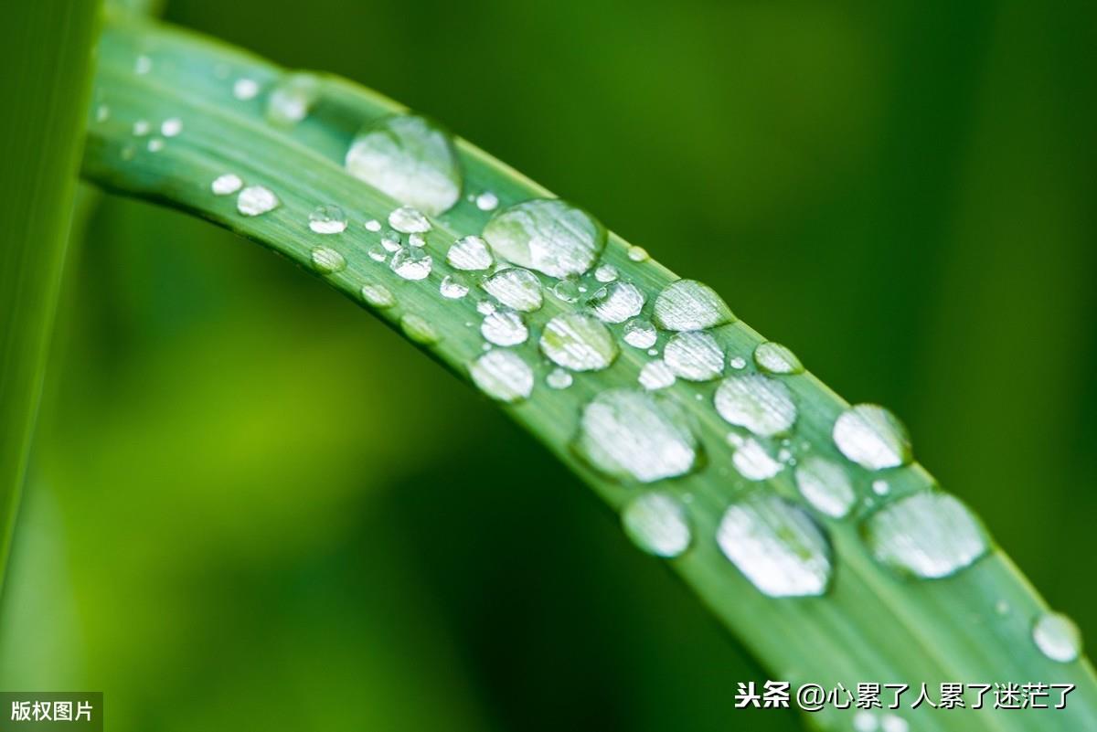 人生感悟的句子，友谊实在维持不下去