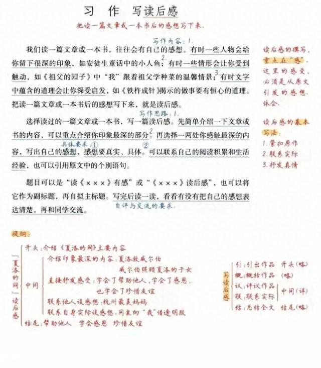 五年级下册满分习作（二）：《读后感》（附可打印范文）